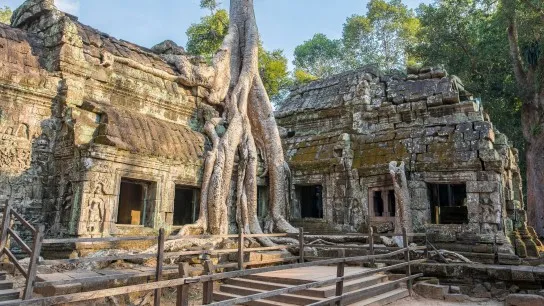 Day 4 Wander Through Ta Prohm’s Iconic Jungle Embraced Temple Ruins
