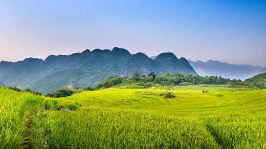 Day 9 Stroll Through The Scenic Terraced Rice Fields Of Pu Luong