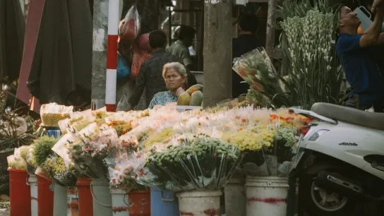 Day 1 Wander Through Ho Thi Ky Flower Market, A Kaleidoscope Of Color, Fragrance, And Local Charm