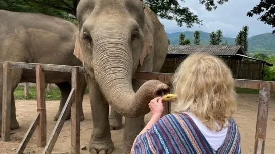 Day 5 Experience Gentle Moments While Feeding Elephants At Elephant Sanctuary