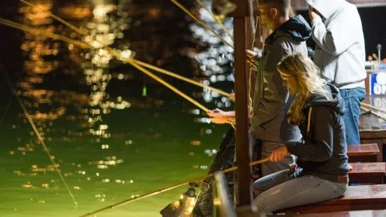 Day 8 Experience The Quiet Thrill Of Squid Fishing After Dark