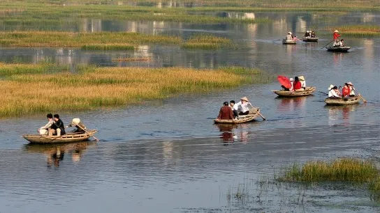 Day 5 Glide Through the Tranquil Waters of Van Long Nature Reserve
