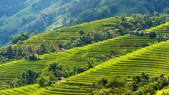 Viaje Emblemático por Vietnam: De Saigón a Sapa en 12 días