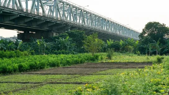 Drive Past Peaceful Farmlands And Discover Authentic Rural Life