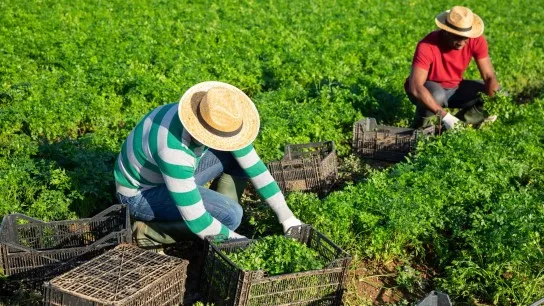 Experience Daily Farming Life Together With Local Farmers
