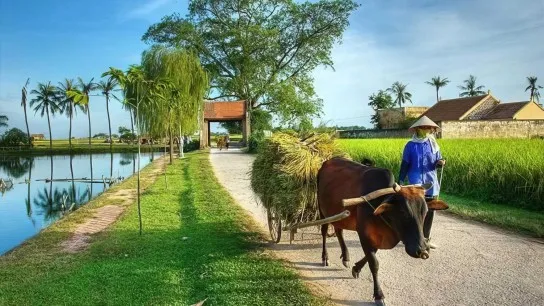 A Day in Ky Son: Biking, Cooking & Herbal Healing