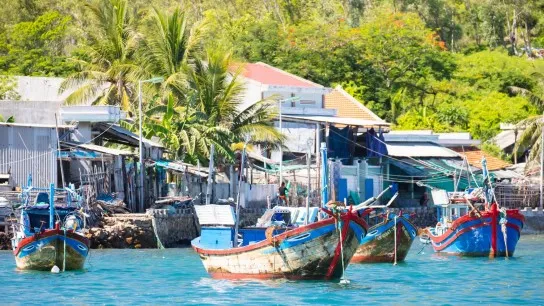 Day 3 Discover Daily Life In A Bustling Vietnamese Fishing Village