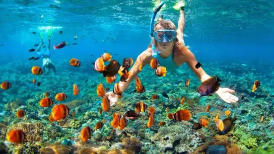 Day 3 Dive Into Crystal Clear Waters To Discover Colorful Tropical Marine Life