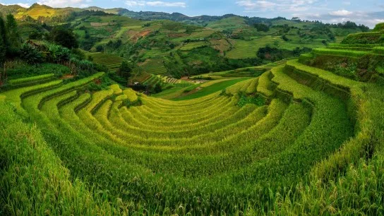 Day 2 Discover The Stunning Rice Terraces At Mu Cang Chai, A Masterpiece Of Nature And Local Farming
