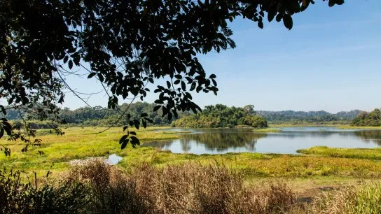 Day 1 Wander Through Cat Tien National Park Filled With Unique Flora And Fauna