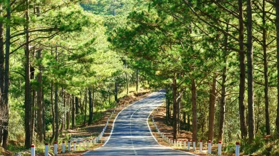 Day 3 Ride Through Sweeping Pine Forests In Da Lat And Embrace The Fresh Breeze Of Highland Nature