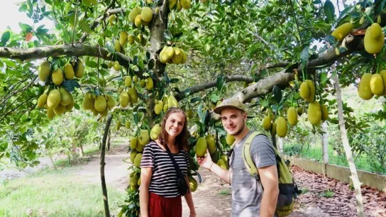 Day 18 Enjoy Fresh Flavors At A Fruit Orchard
