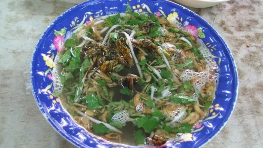 One of Hanoi’s hidden culinary treasures: Mien Luon