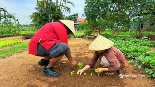 Day 4 Meet Local Farmers In Tra Que Vegetable Village