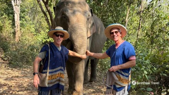 Day 10 Meet Rescued Elephants In A Natural Sanctuary Setting