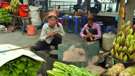 Day 5 Browse The Vibrant Stalls Of Pho Doan Market