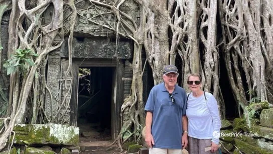 Day 5 Wander Ta Prohm Embraced By Jungle Roots