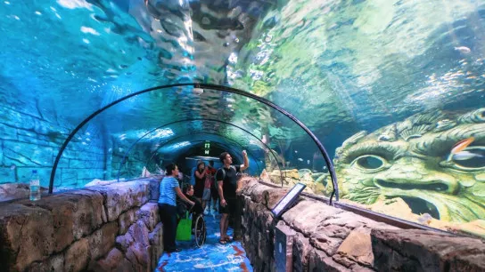 Explore The Marine Life At National Oceanographic Museum