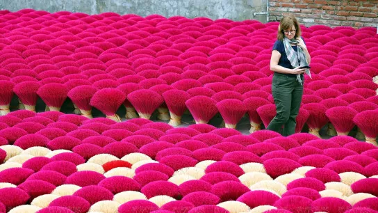 Wander To See Colorful Incense