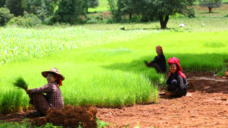 Myanmar Off Beaten Track