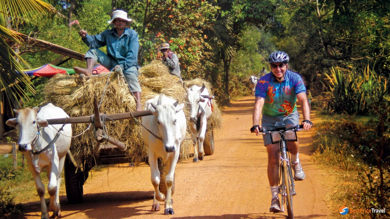 Biking in the countryside