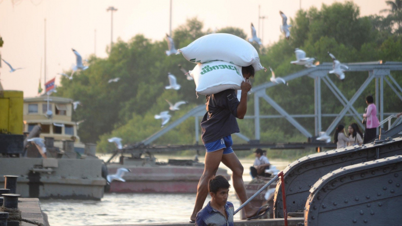 A Labourer Unloading Rice From A Ship At Botahtaung Jetty
