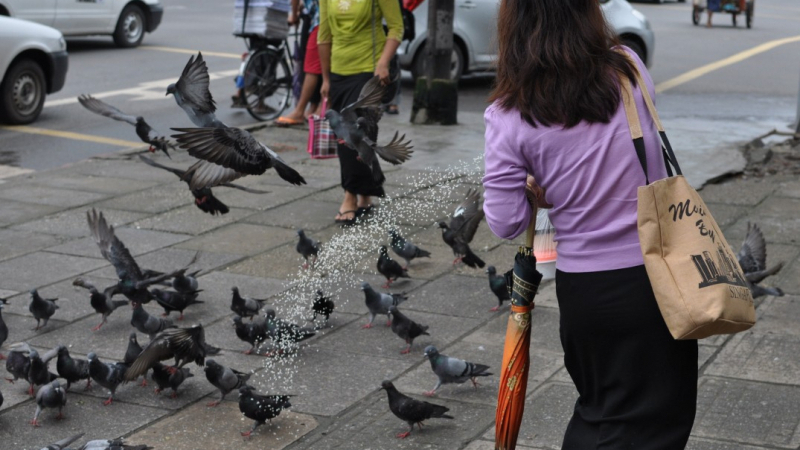 On The Street In Yangon
