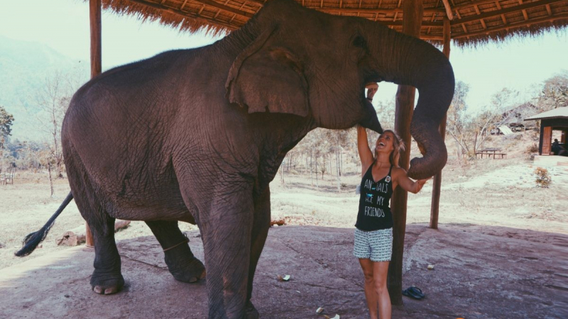 Get a new big friend