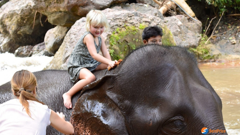 Washing For Elephant
