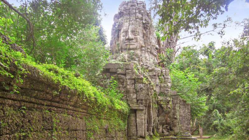 Day 2 Ta Prohm Temple