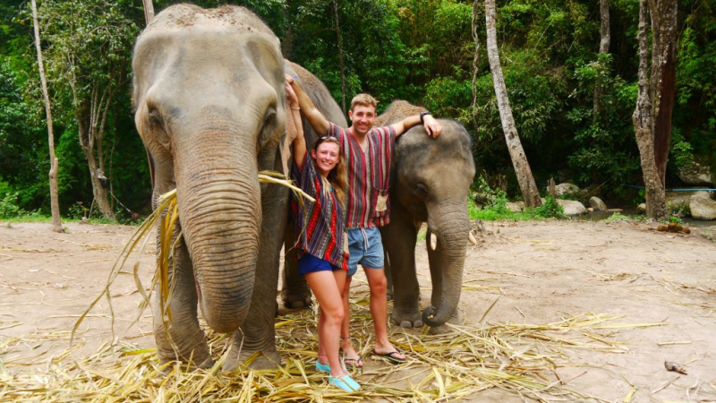 Phuket Elephant Sanctuary
