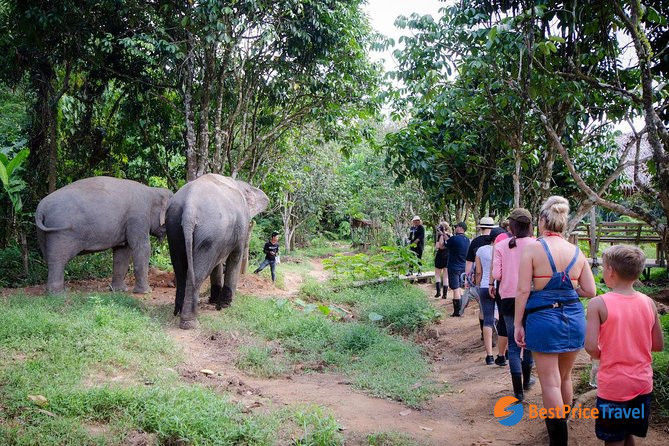 Phuket Elephant Sanctuary