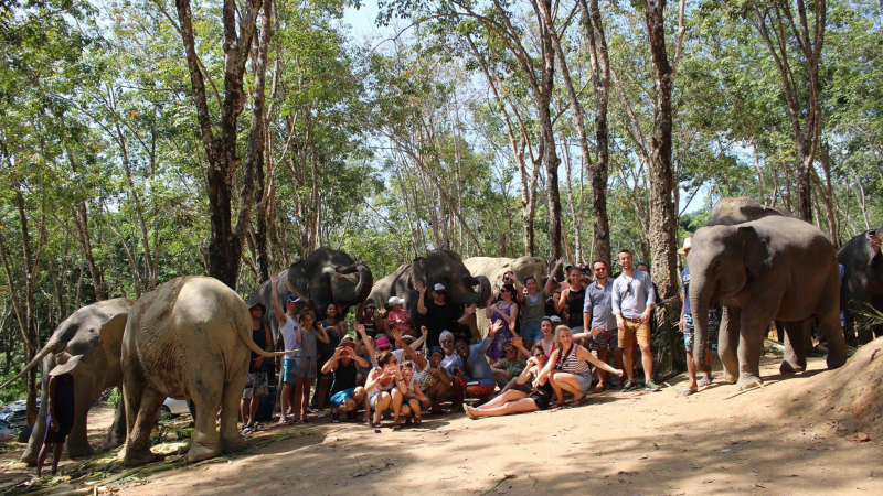 Phuket Elephant Sanctuary