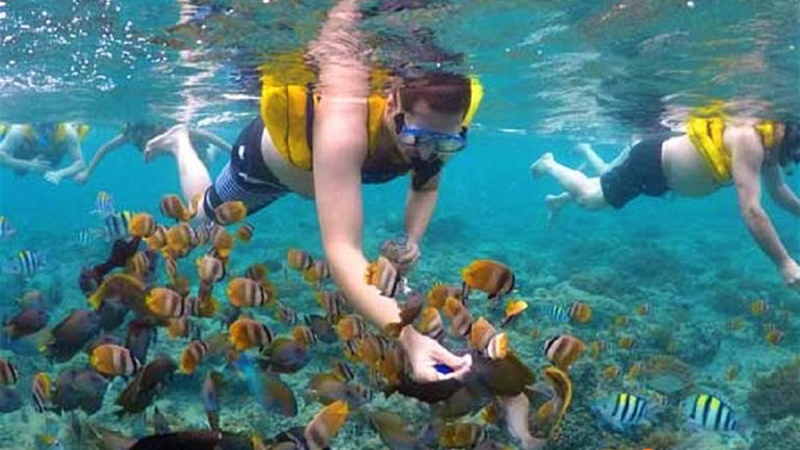 Coral Island Tourists Snorkeling2