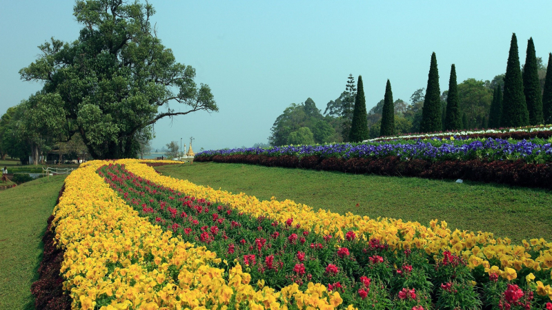 National Kandawgyi Park