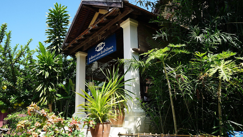 Traditional Art and Ethnology Center