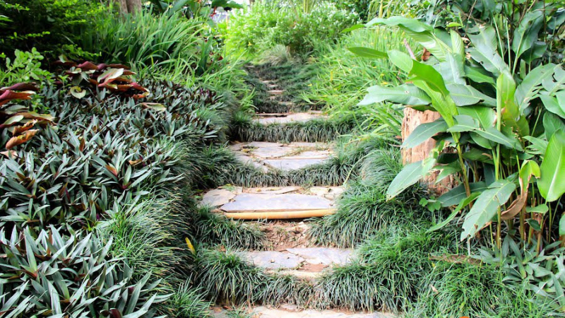 Pha Tad Ke Botanical Garden