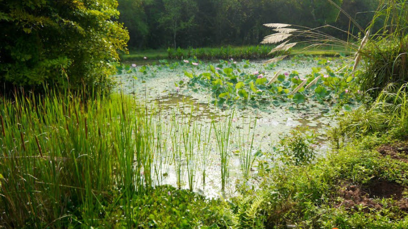 Pha Tad Ke Botanical Garden