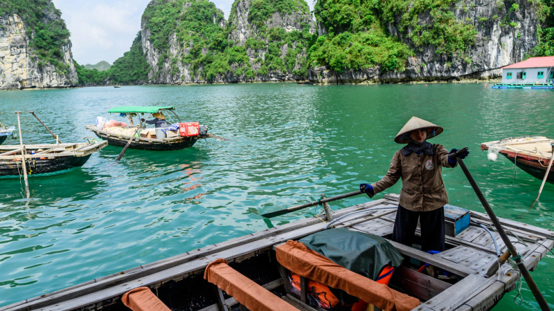 Day 10 Rowing Boat In Halong