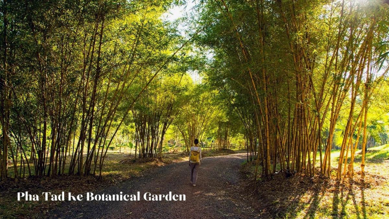 Pha Tad Ke Botanical Garden (3)