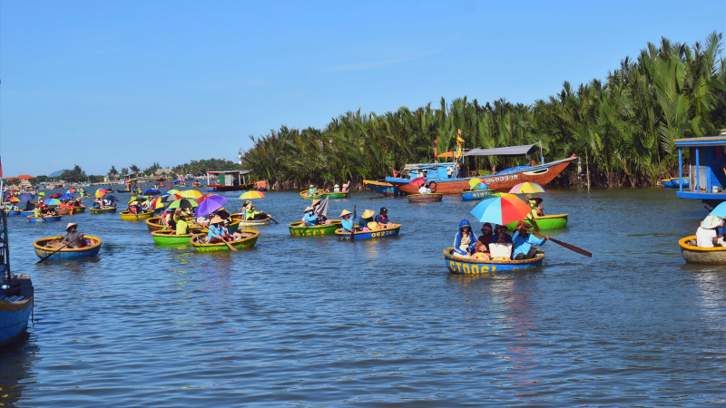 Explore Coconut Forest