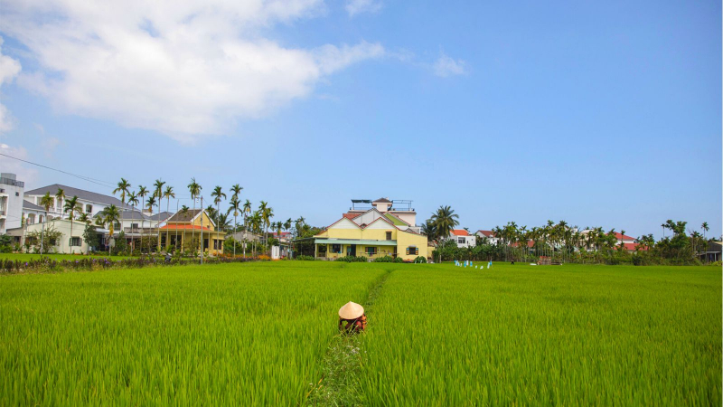 Tranquil Cam Thanh Village