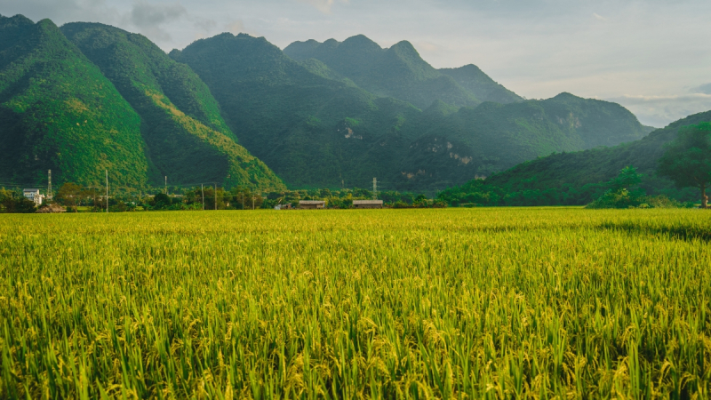 Day 2 Immerse In The Natural Beauty While Trekking