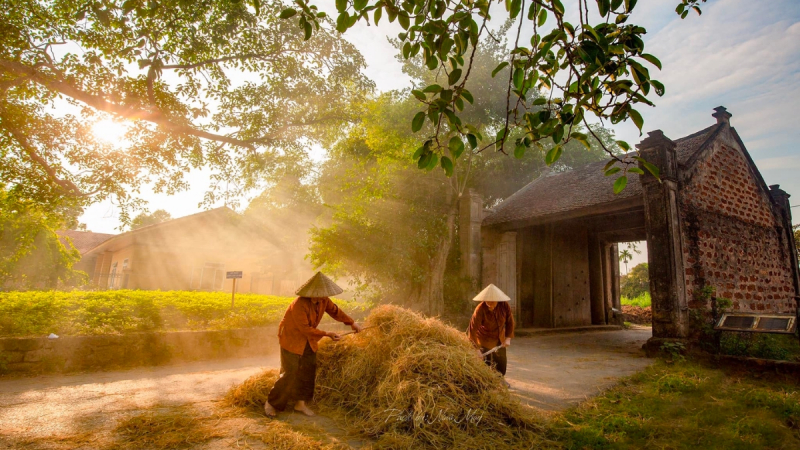 Explore The Local's Farming Culture And Their Daily Activities