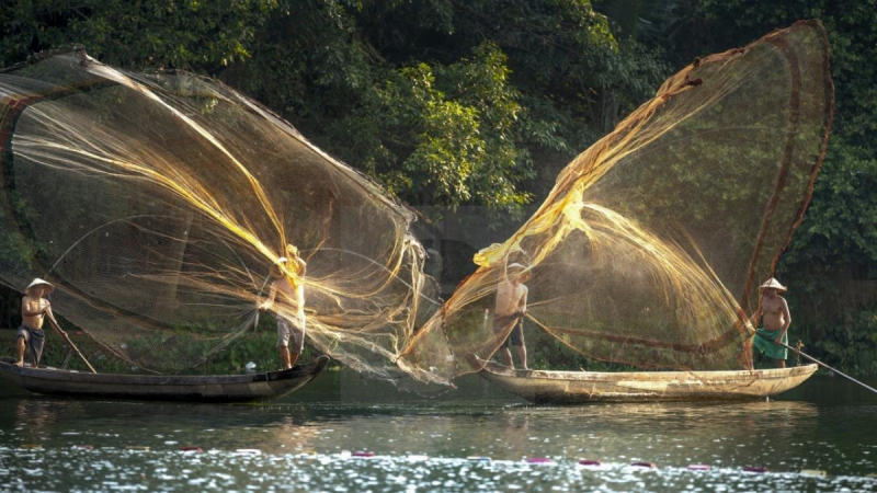 See People Casting Fishing Nets In Hoi An