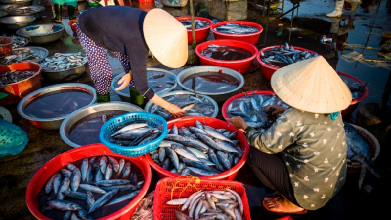 Observe The Fast Pace Of Life In The Wet Market