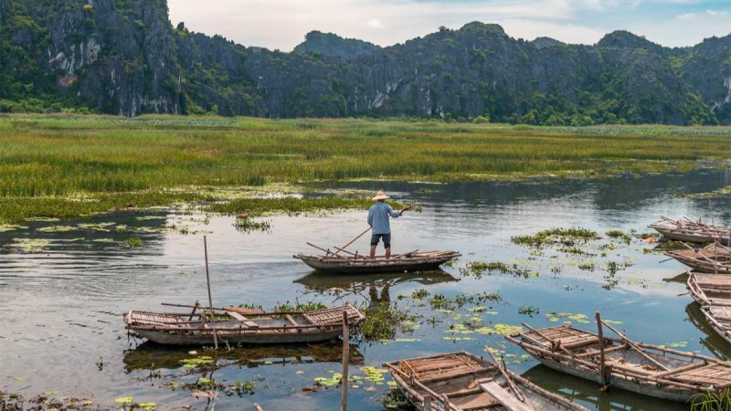Get On An Exciting Bamboo Boat Ride In Van Long Nature Reserve