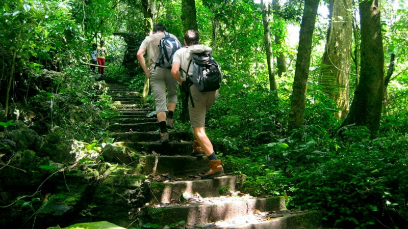 Start Your Trekking Journey In Cuc Phuong National Park