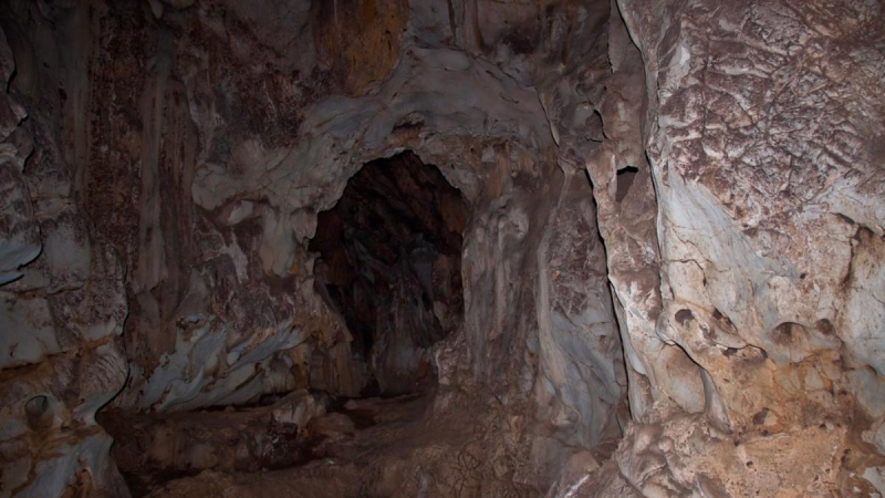 Walk Inside To Discover The Living Space Of Prehistoric Man