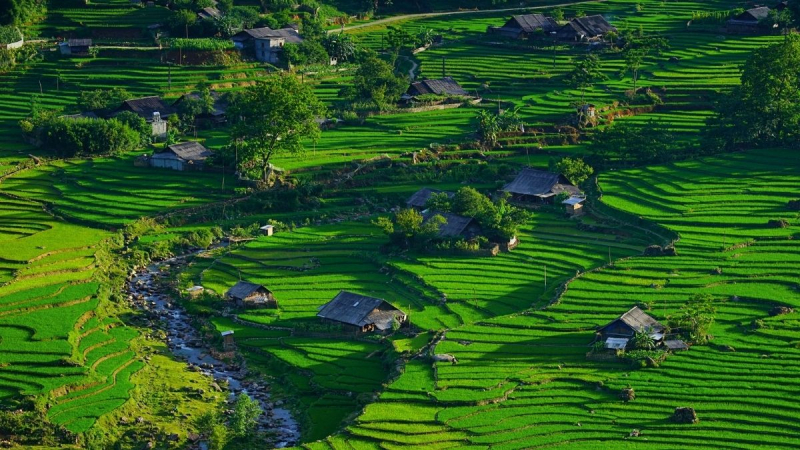 Make A Stop At Ta Van Village And Connect With Giay Ethnic Group